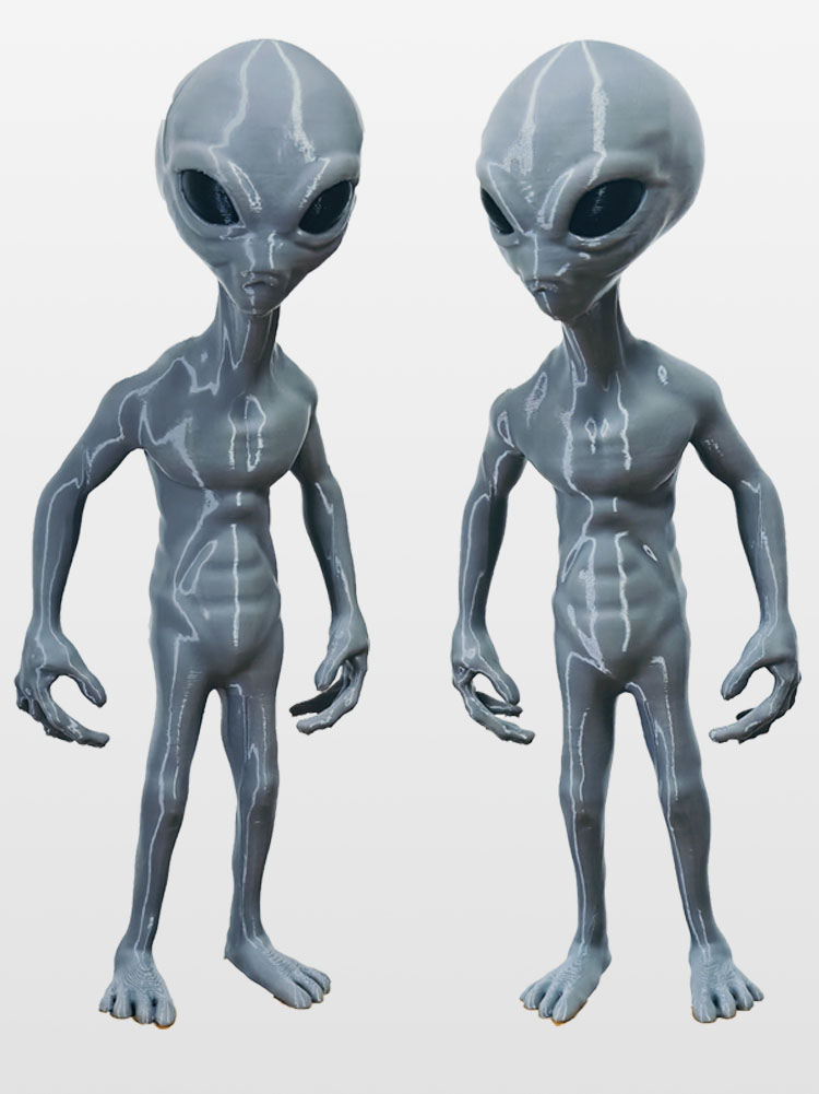 3D Printing Room - 2025 New Roswell UFO Grey Alien